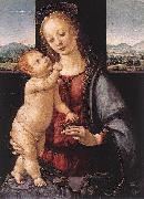 LORENZO DI CREDI Madonna and Child with a Pomegranate oil on canvas